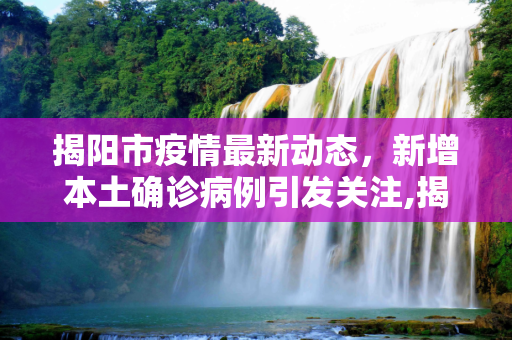揭阳市疫情最新动态，新增本土确诊病例引发关注,揭阳新增本土确诊