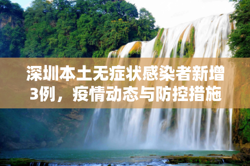 深圳本土无症状感染者新增3例，疫情动态与防控措施,深圳新增本土无症状3例