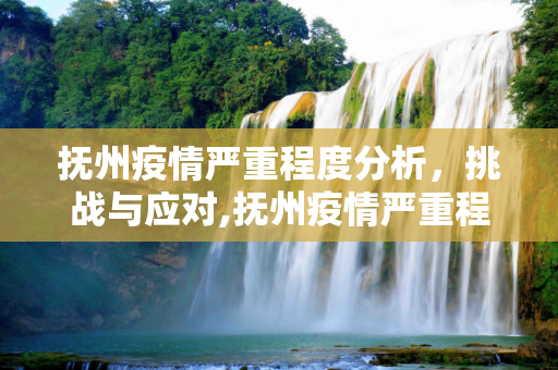 抚州疫情严重程度分析，挑战与应对,抚州疫情严重程度