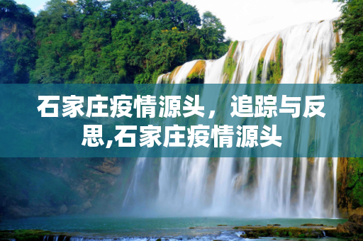 石家庄疫情源头，追踪与反思,石家庄疫情源头