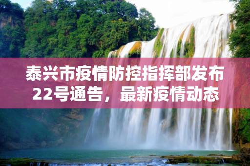 泰兴市疫情防控指挥部发布22号通告，最新疫情动态及防控措施,泰兴疫情22号通告最新