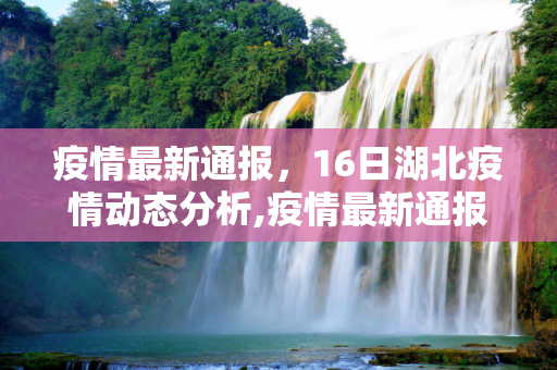 疫情最新通报，16日湖北疫情动态分析,疫情最新通报16日湖北
