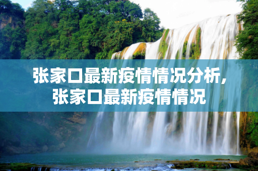 张家口最新疫情情况分析,张家口最新疫情情况