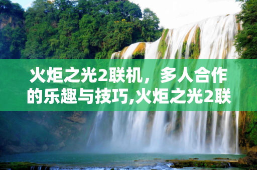 火炬之光2联机，多人合作的乐趣与技巧,火炬之光2联机