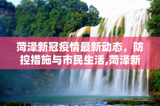 菏泽新冠疫情最新动态，防控措施与市民生活,菏泽新冠疫情最新消息
