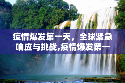 疫情爆发第一天，全球紧急响应与挑战,疫情爆发第一天