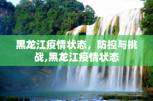 黑龙江疫情状态，防控与挑战,黑龙江疫情状态