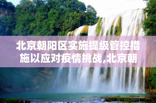 北京朝阳区实施提级管控措施以应对疫情挑战,北京朝阳提级管控措施