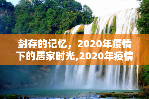 封存的记忆，2020年疫情下的居家时光,2020年疫情封家记忆