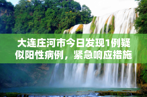 大连庄河市今日发现1例疑似阳性病例，紧急响应措施启动,大连庄河今日发现1例疑似阳性病例