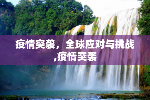 疫情突袭，全球应对与挑战,疫情突袭