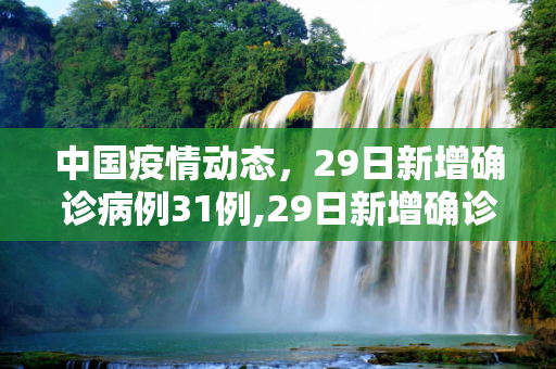 中国疫情动态，29日新增确诊病例31例,29日新增确诊病例31例