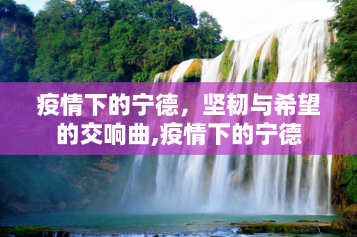 疫情下的宁德，坚韧与希望的交响曲,疫情下的宁德