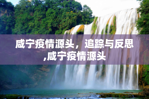 咸宁疫情源头，追踪与反思,咸宁疫情源头