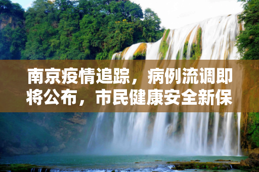 南京疫情追踪，病例流调即将公布，市民健康安全新保障,南京将公布病例流调