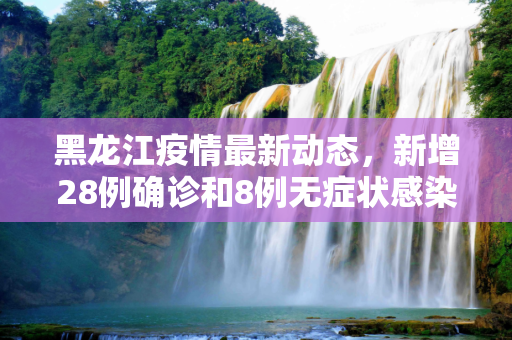 黑龙江疫情最新动态，新增28例确诊和8例无症状感染者,黑龙江新增28例确诊8例无症状