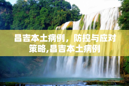 昌吉本土病例，防控与应对策略,昌吉本土病例