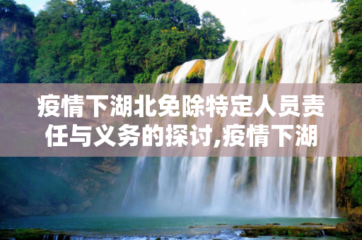 疫情下湖北免除特定人员责任与义务的探讨,疫情下湖北免除特定人员责任与义务