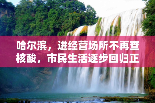 哈尔滨，进经营场所不再查核酸，市民生活逐步回归正轨,哈尔滨进经营场所不再查核酸