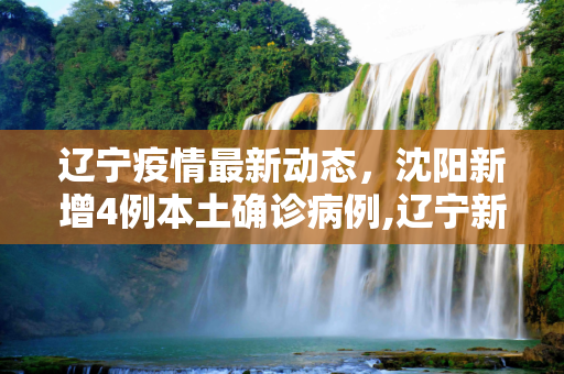 辽宁疫情最新动态，沈阳新增4例本土确诊病例,辽宁新增4例本土确诊在沈阳