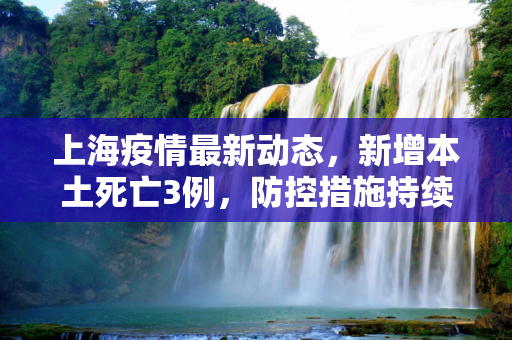 上海疫情最新动态，新增本土死亡3例，防控措施持续加强,上海新增本土死亡3例