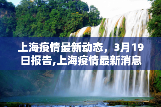 上海疫情最新动态，3月19日报告,上海疫情最新消息3月19日