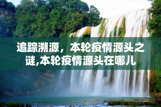 追踪溯源，本轮疫情源头之谜,本轮疫情源头在哪儿