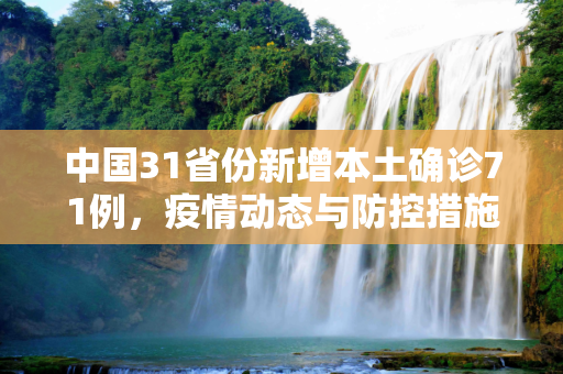 中国31省份新增本土确诊71例，疫情动态与防控措施,31省份新增本土确诊71例