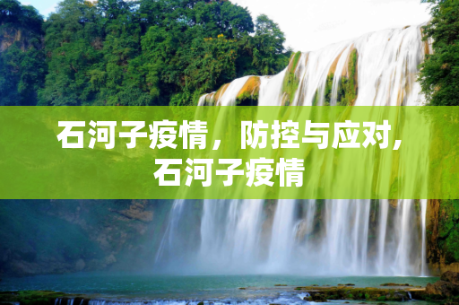 石河子疫情，防控与应对,石河子疫情