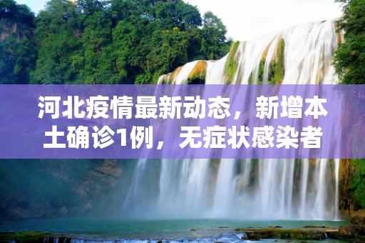河北疫情最新动态，新增本土确诊1例，无症状感染者28例,河北新增本土确诊1例无症状28例