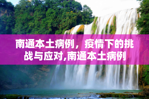 南通本土病例，疫情下的挑战与应对,南通本土病例