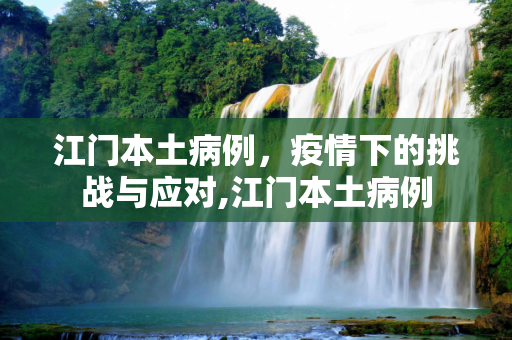 江门本土病例，疫情下的挑战与应对,江门本土病例