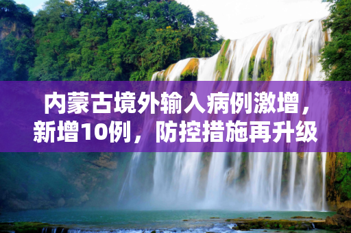 内蒙古境外输入病例激增，新增10例，防控措施再升级,内蒙古新增境外输入10例