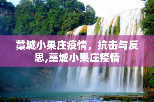 藁城小果庄疫情，抗击与反思,藁城小果庄疫情