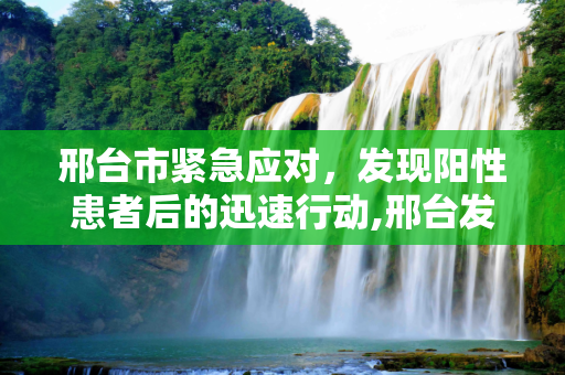 邢台市紧急应对，发现阳性患者后的迅速行动,邢台发现阳性患者