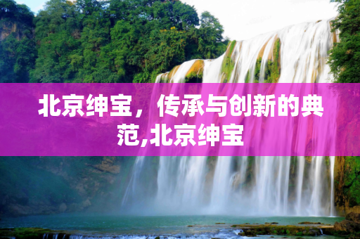 北京绅宝，传承与创新的典范,北京绅宝