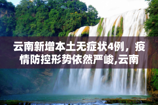 云南新增本土无症状4例，疫情防控形势依然严峻,云南新增本土无症状4例