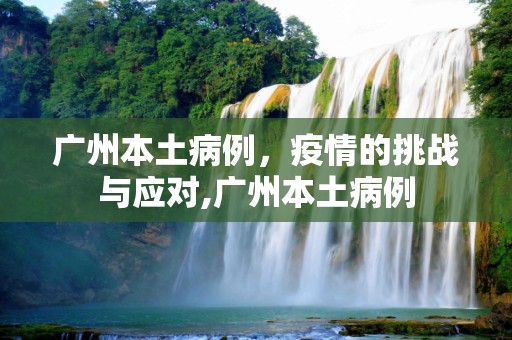 广州本土病例，疫情的挑战与应对,广州本土病例
