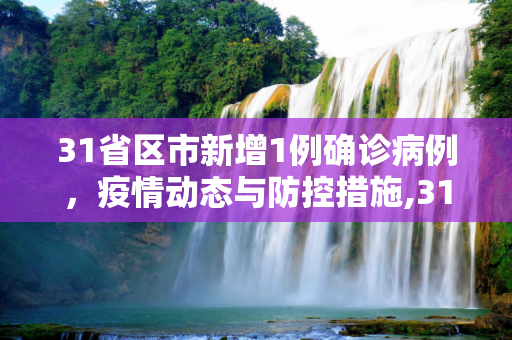 31省区市新增1例确诊病例，疫情动态与防控措施,31省区市新增1例确诊病例