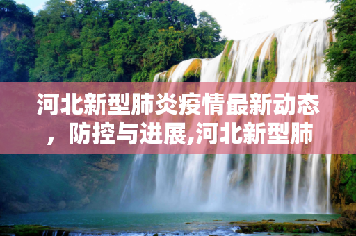 河北新型肺炎疫情最新动态，防控与进展,河北新型肺炎最新消息