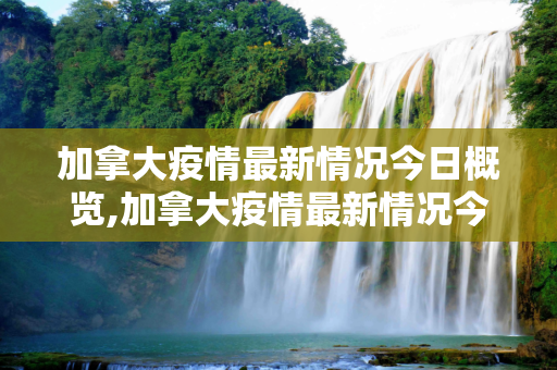 加拿大疫情最新情况今日概览,加拿大疫情最新情况今日