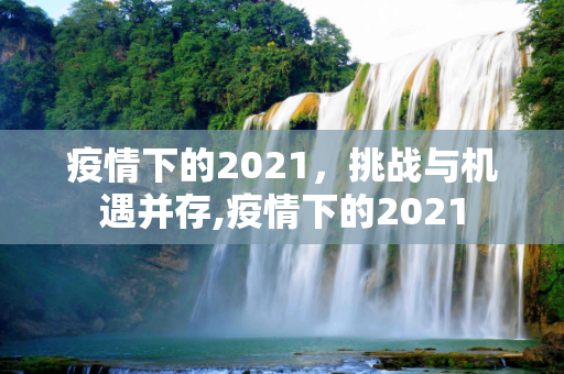 疫情下的2021，挑战与机遇并存,疫情下的2021