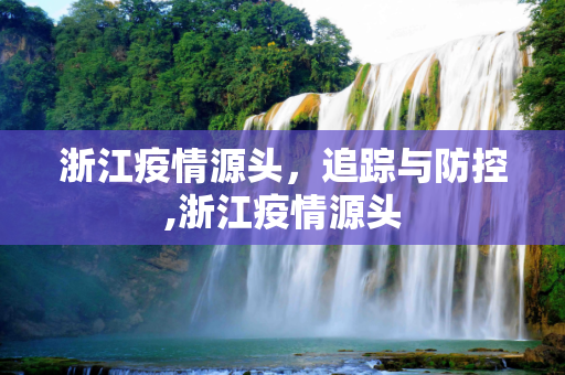 浙江疫情源头，追踪与防控,浙江疫情源头