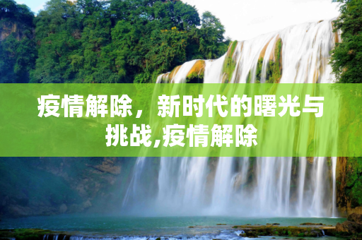 疫情解除，新时代的曙光与挑战,疫情解除
