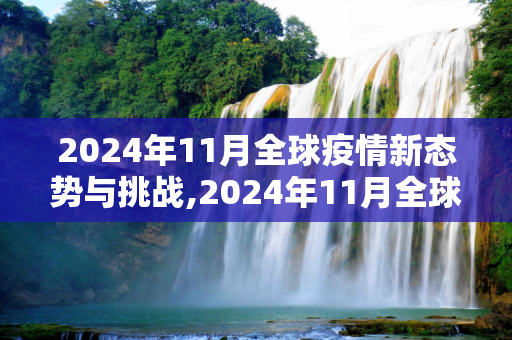 2024年11月全球疫情新态势与挑战,2024年11月全球疫情新态势与挑战