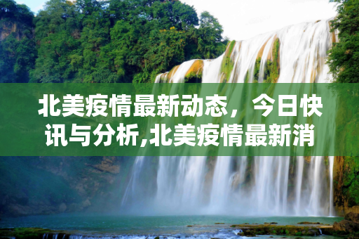 北美疫情最新动态，今日快讯与分析,北美疫情最新消息今天