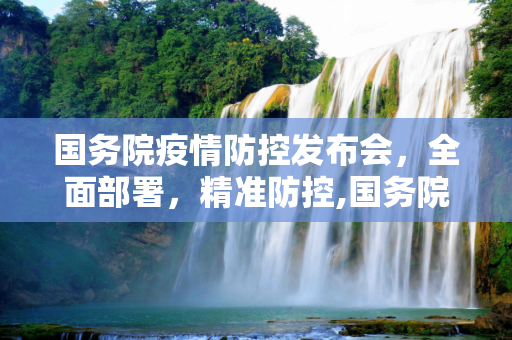 国务院疫情防控发布会，全面部署，精准防控,国务院疫情防控发布会