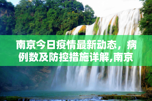 南京今日疫情最新动态，病例数及防控措施详解,南京今天疫情最新多少例