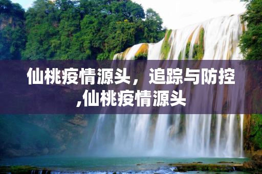 仙桃疫情源头，追踪与防控,仙桃疫情源头