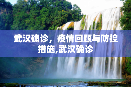 武汉确诊，疫情回顾与防控措施,武汉确诊